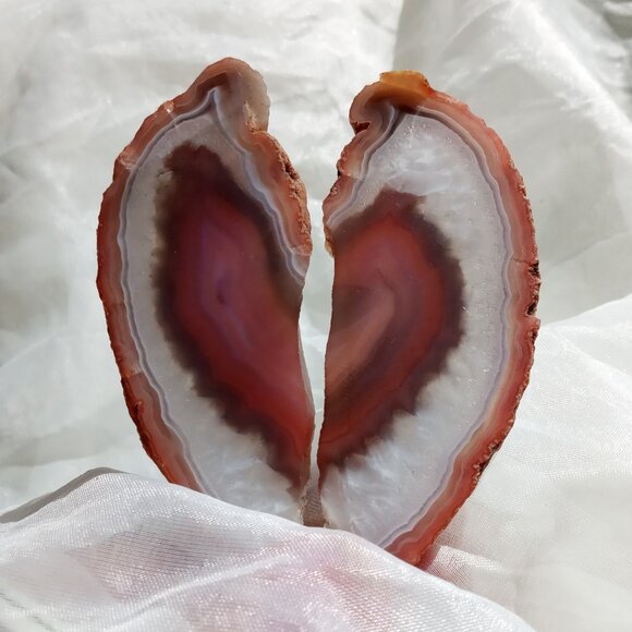 Swazi Agate Lapidary Art 2pc set Slice/Slab Specimens Natural Stone Not Polished - Picture 4 of 6